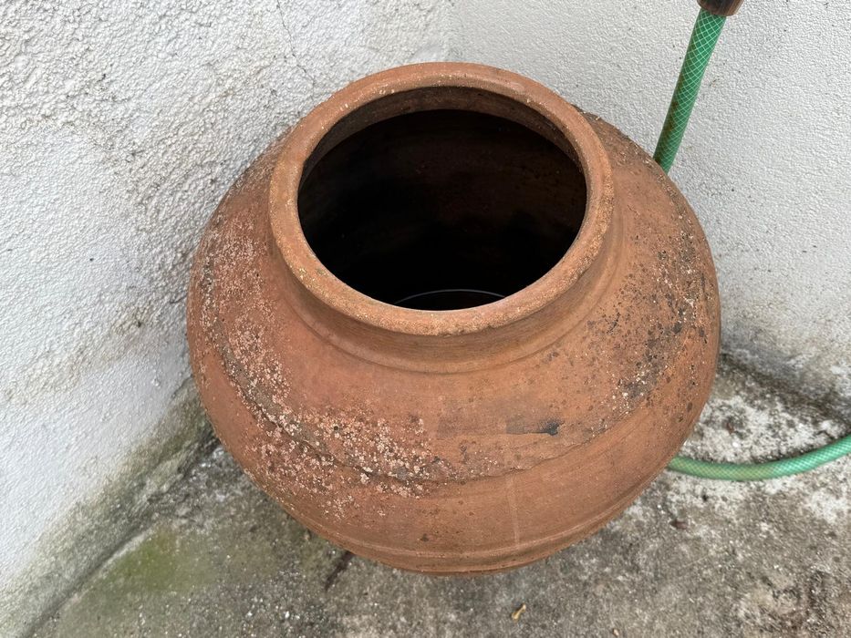 2 Talhas quase centenárias.