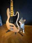 Fender Squier Classic Vibe 70's Jazz Bass