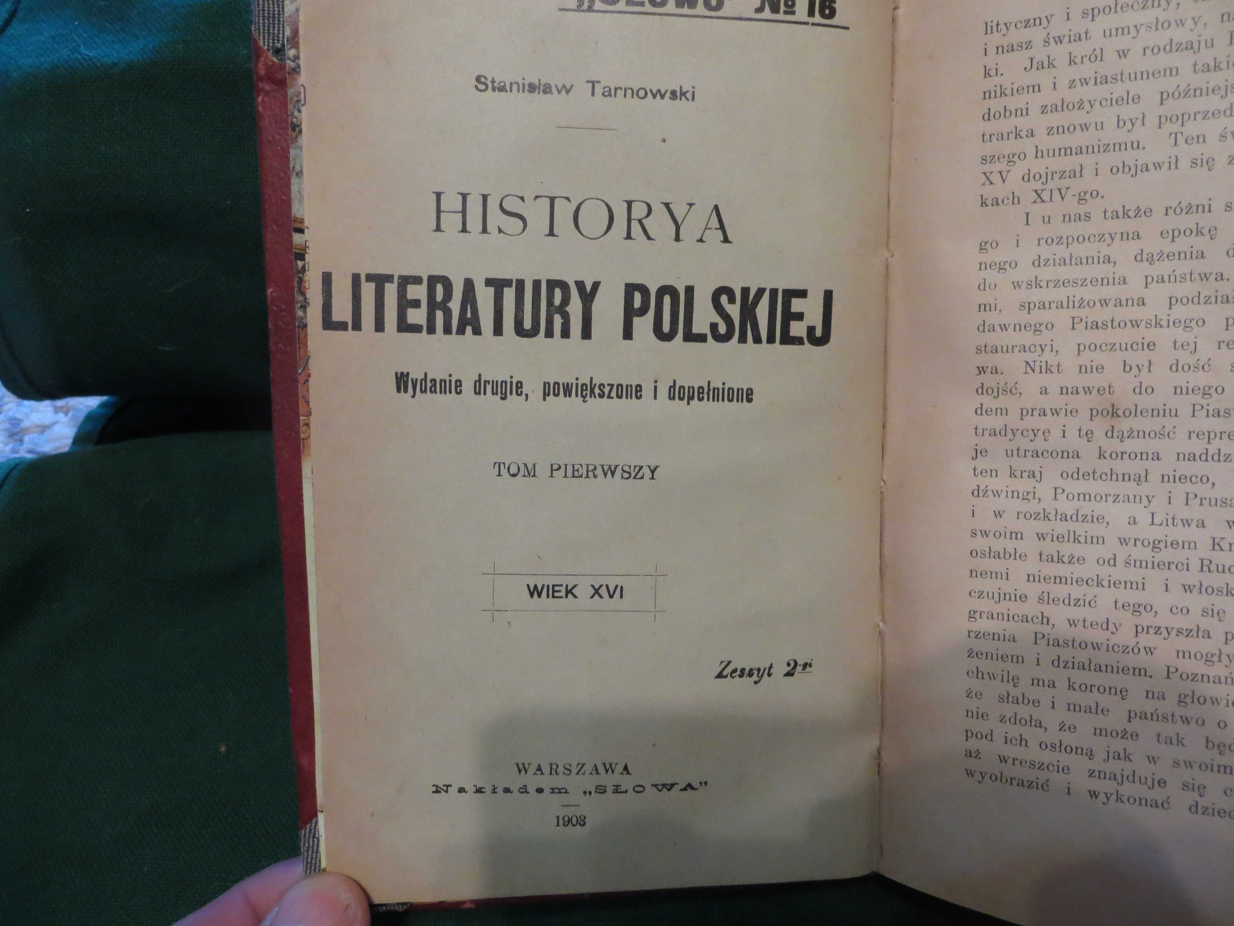 Stara książka Historya Literatury Polskiej,