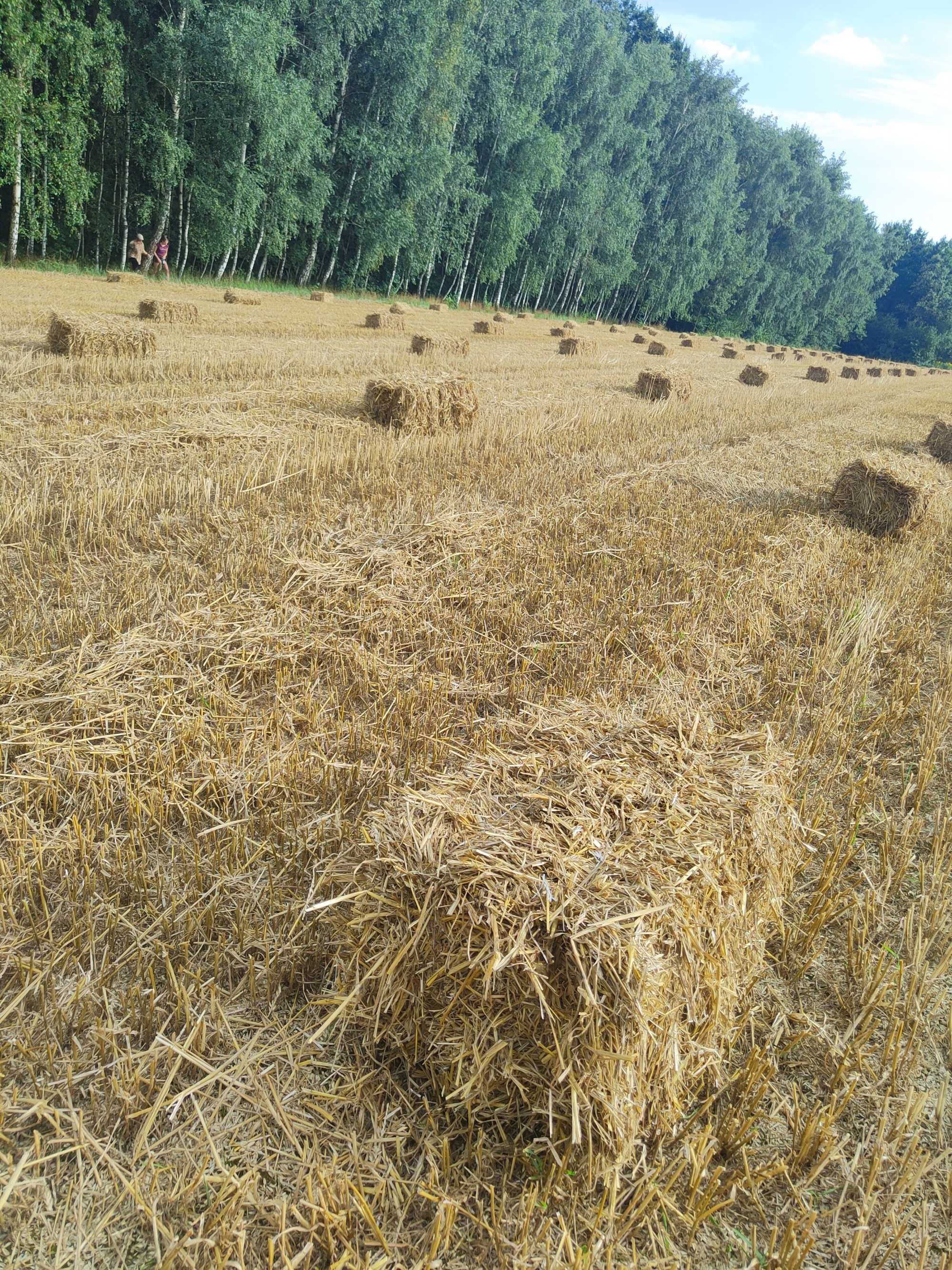 Bale kostka  słoma