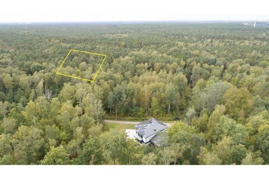 Działka leśna na sprzedaż