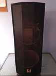 Kolumna aktywna obudowa 2x12" + driver