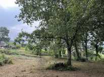 Terreno Rustico para venda