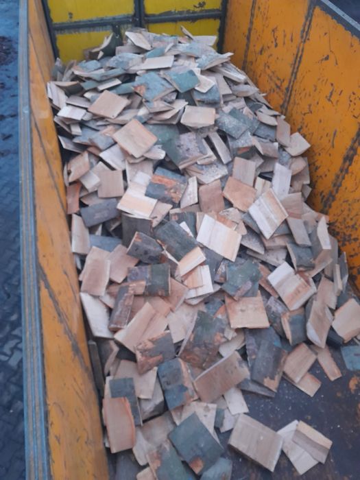 zrzyna tartaczna bukowa