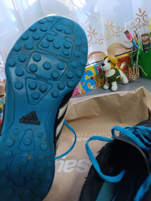 Сороконіжки  ...