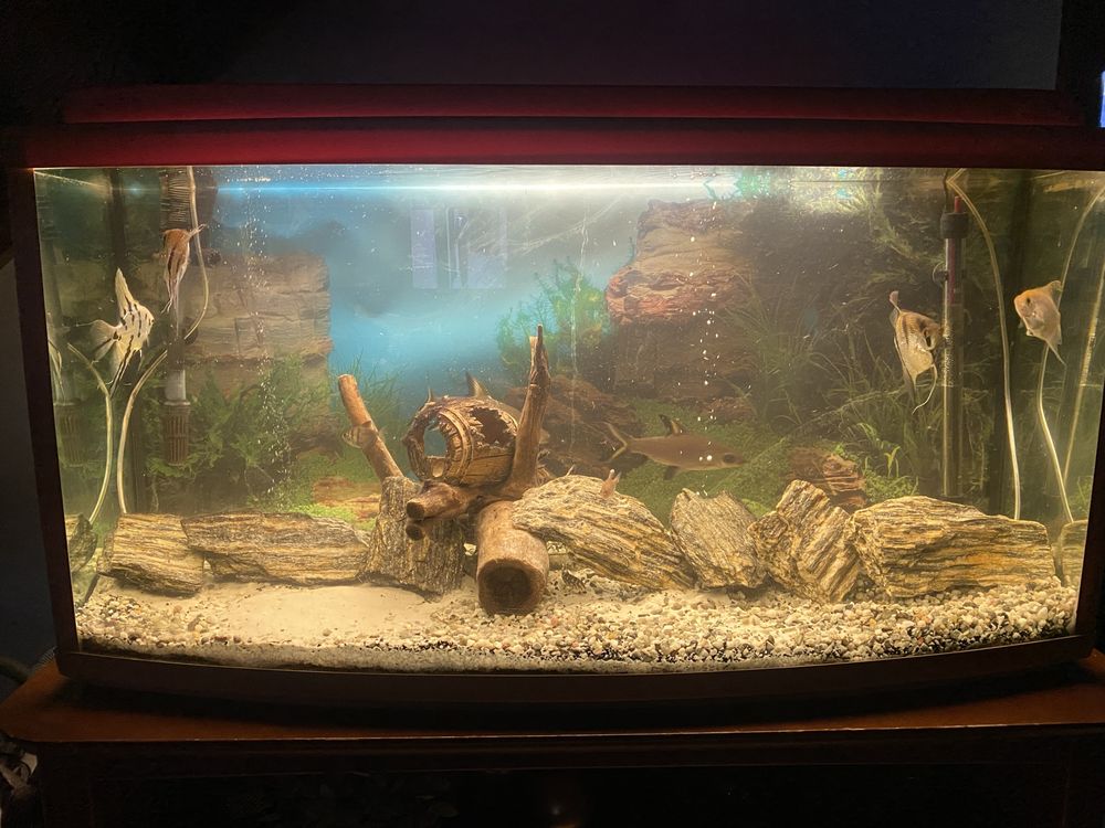 Akwarium 200 l caly zestaw