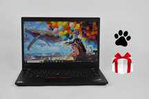 Lenovo ThinkPad T14 R5 Pro 4650U 16/32 гб 256/512/1 тб 14" IPS Ноутбук