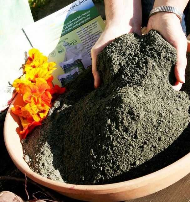 Mączka BAZALTOWY, naturalny NAWÓZ ROŚLINNY, poprawiający jakość gleby