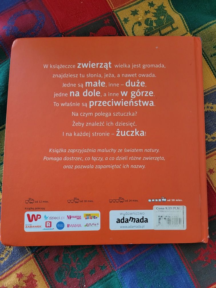 Zwierzęta wokół nas przeciwienstwa