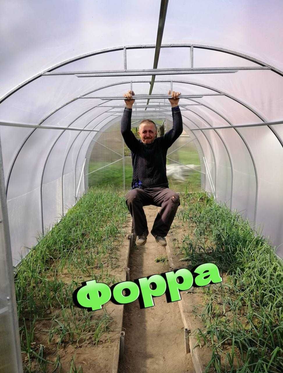 Теплиця Форра під полікарбонат