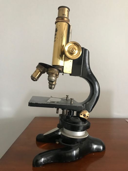 Mikroskop Ernst LEITZ WETZLAR