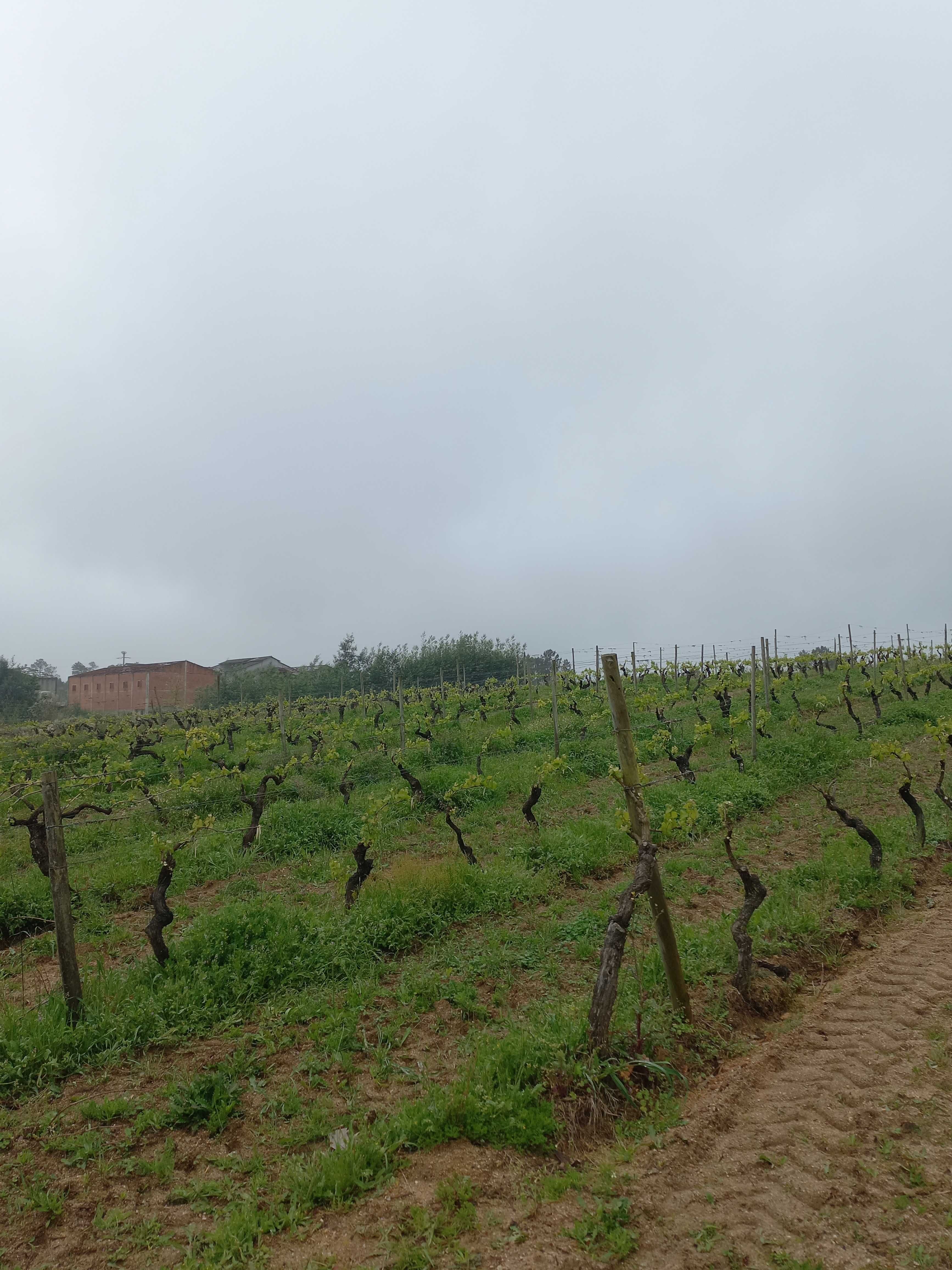 Quinta da Gandara