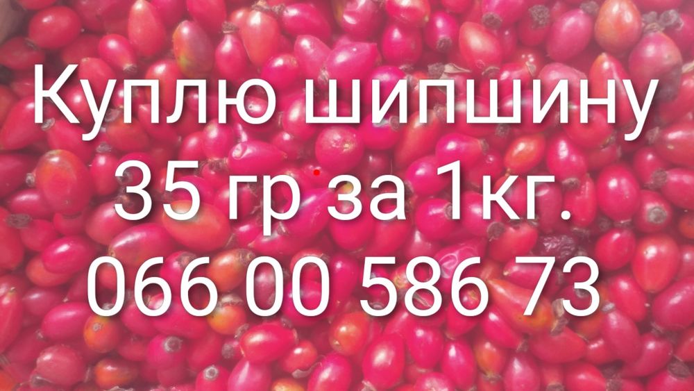 Шипшина или шиповник