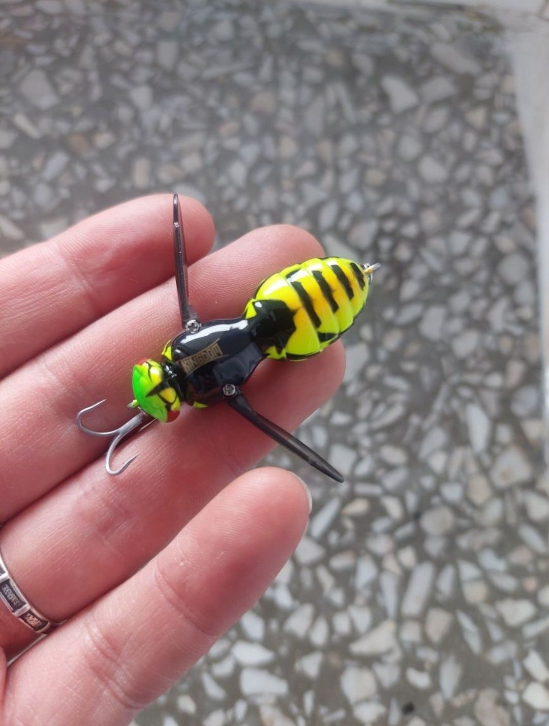 Wobler osa oska kleń, jaź, boleń, okoń