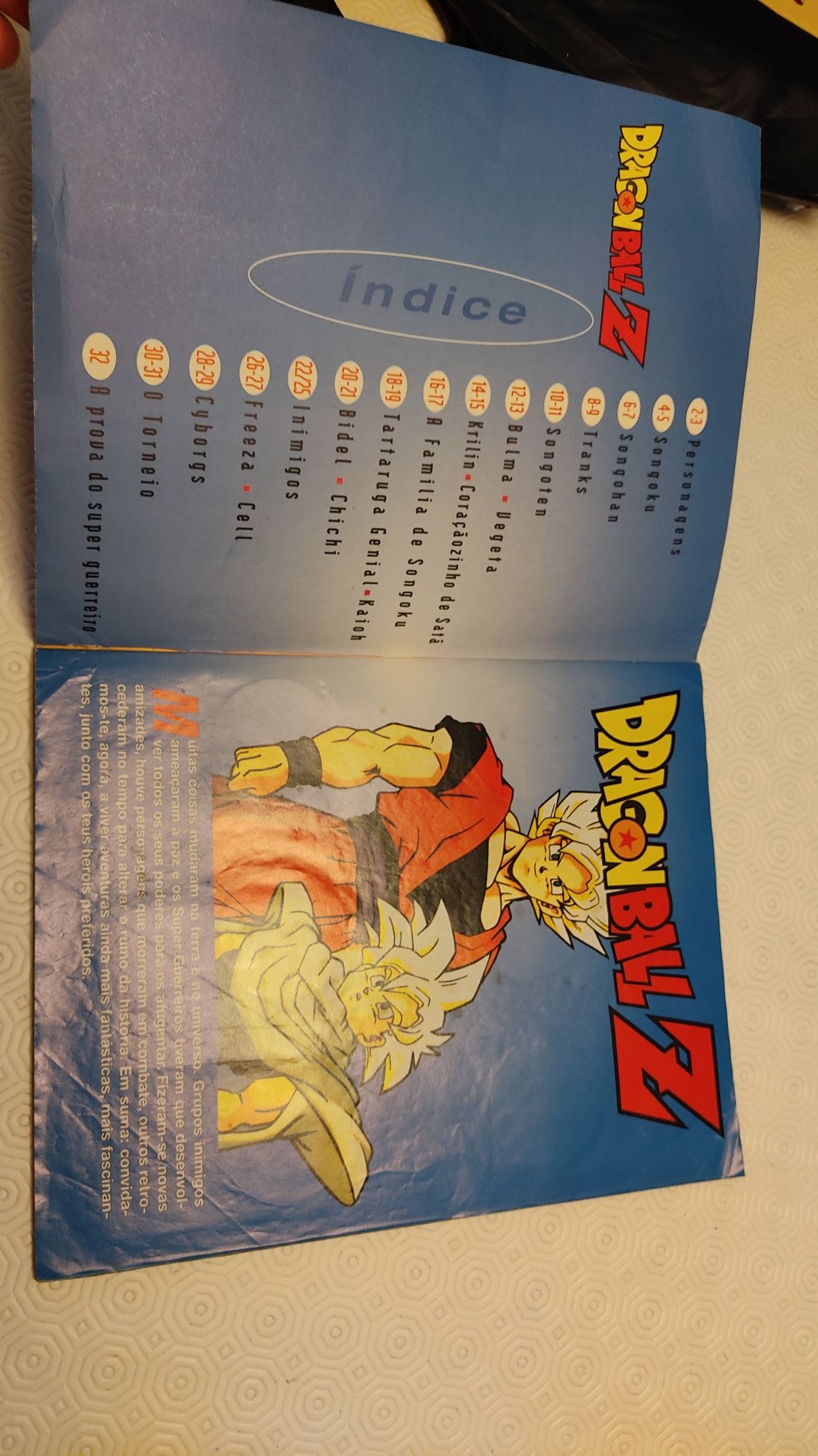 Dragon Ball Z caderneta Panini (1989) anos 90 completa