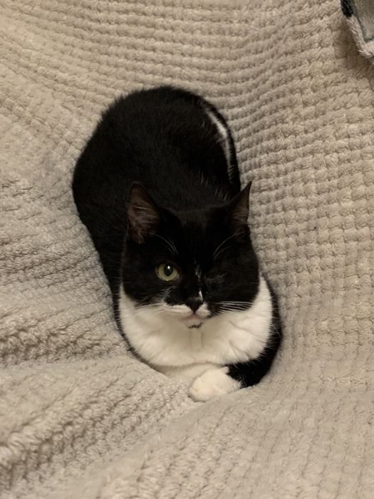 Дівчинка шукає люблячу сімʼю