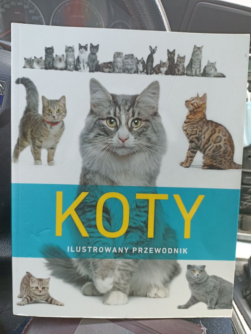 Trzy ksiązki / albumy o kotach