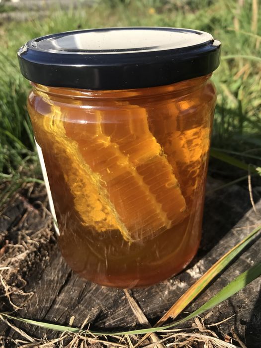 Plaster miodu w miodzie leśnym