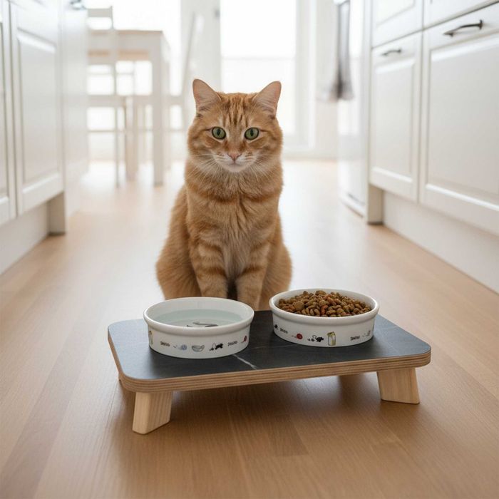 Керамічна миска Trixie для собак та котів з підставкою