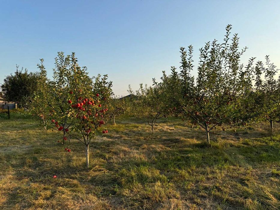 Будинок с. Котів 39500 $