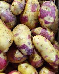 Batata TIGRE PRETA, deliciosa para comêr