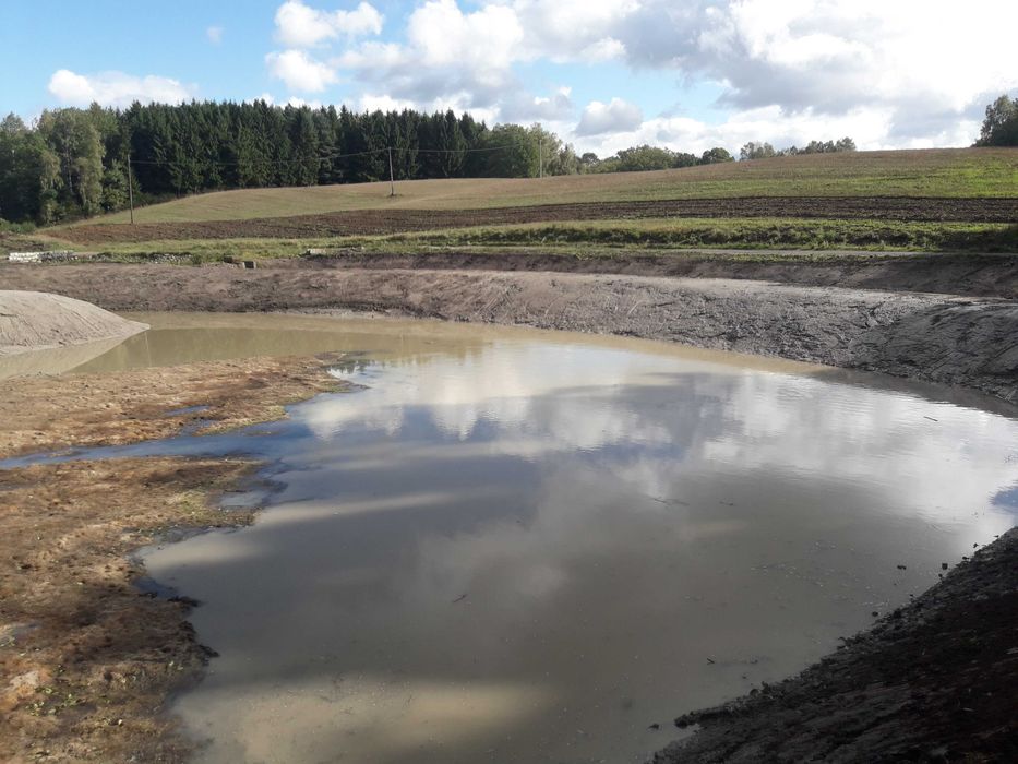 Kopanie, odmulanie stawów koparka linowa (wędką)