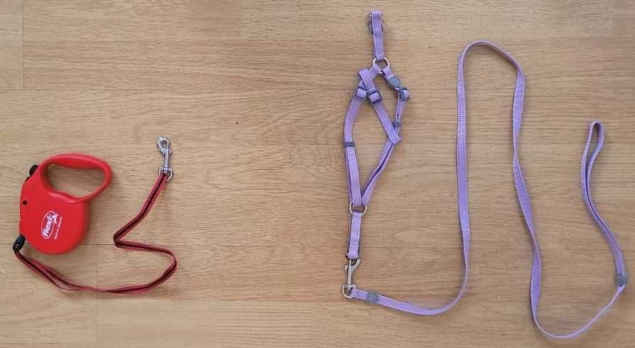 Coleira Retrátil p/ Cães 5m + Coleira de Corpo p/ Gatos – Ótimo Estado