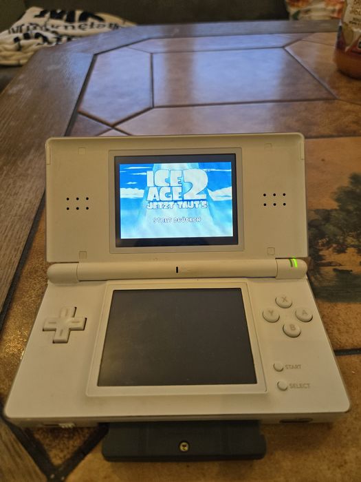 Nintendo ds litle