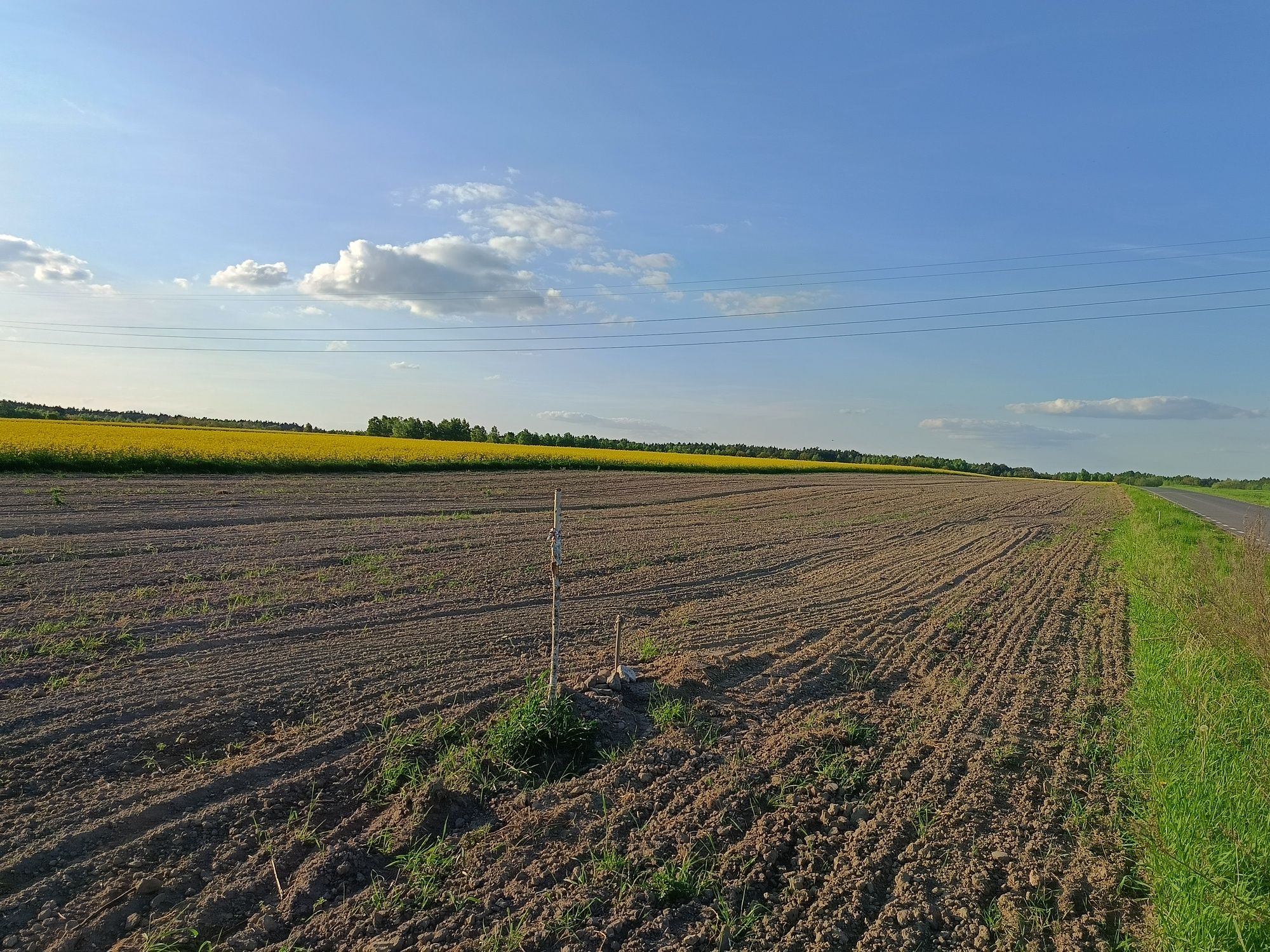 Działka budowlana  1000m2, Kuchary(nr 127/4)