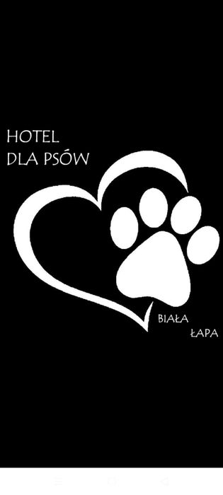 Hotel dla psów Biała Łapa