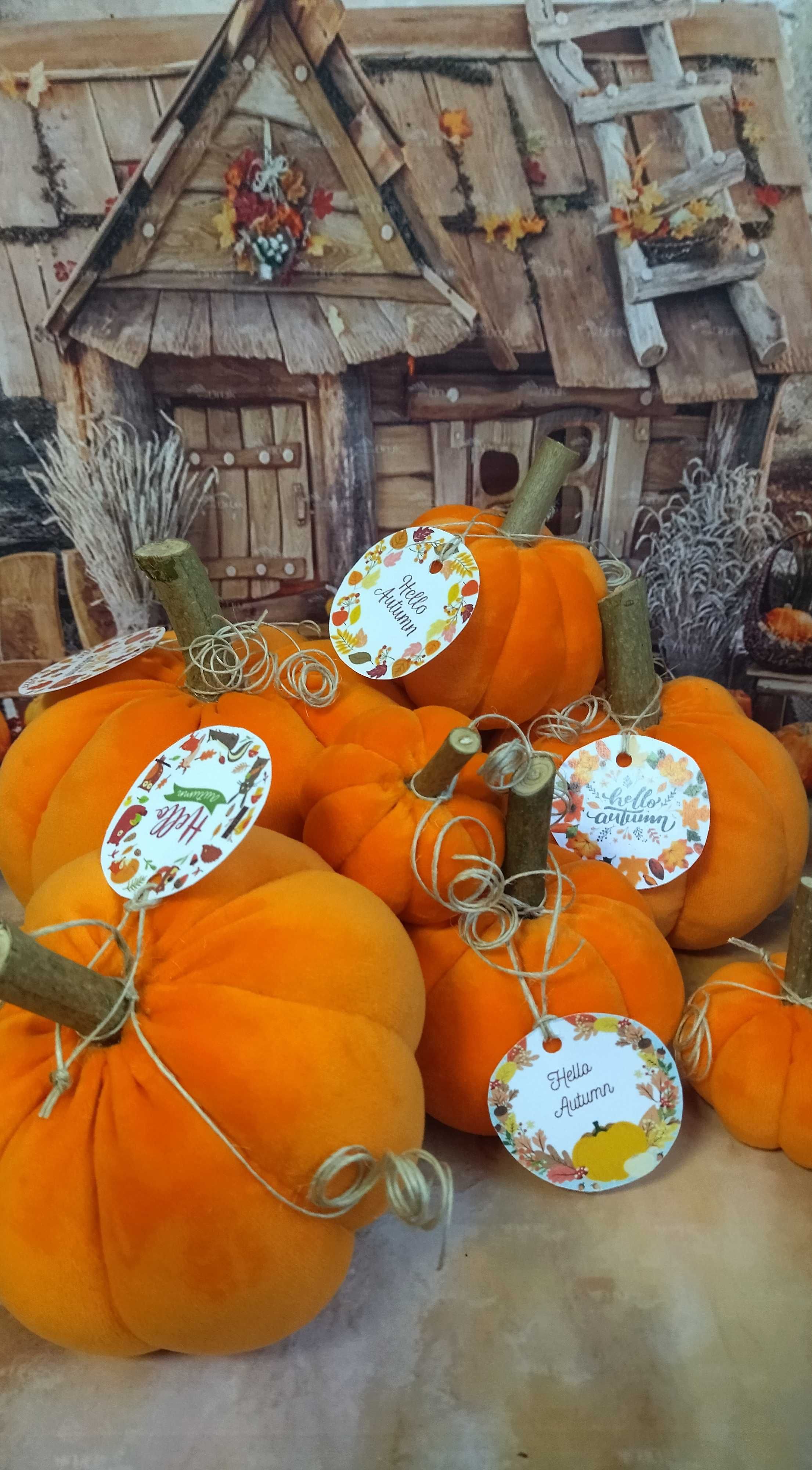 Szyta dynia handmade