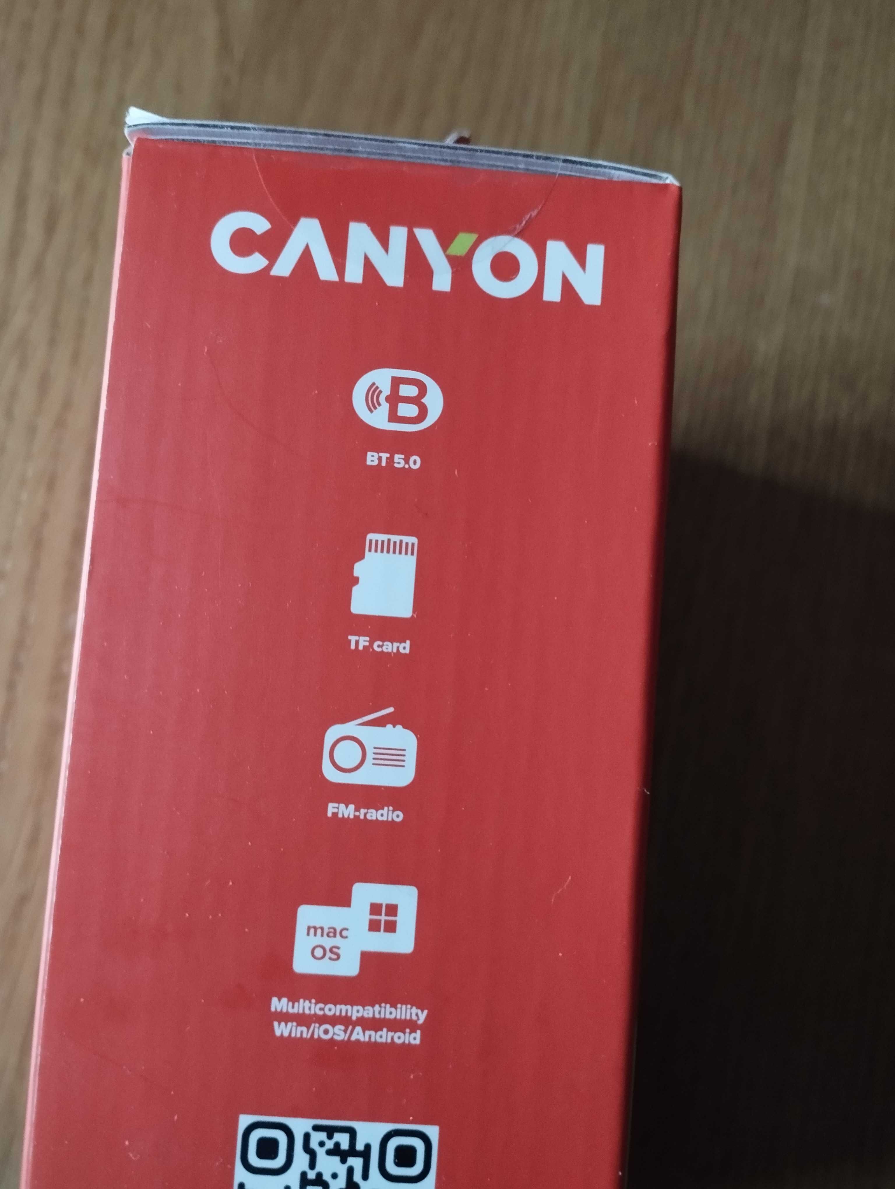 CANYON Bezprzewodowy głośnik BSP4 Szary