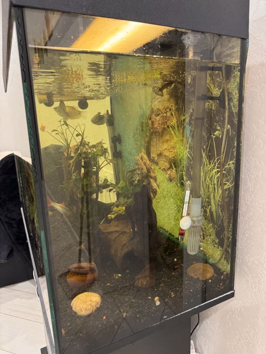 Акваріум з усім необхідним обладнанням