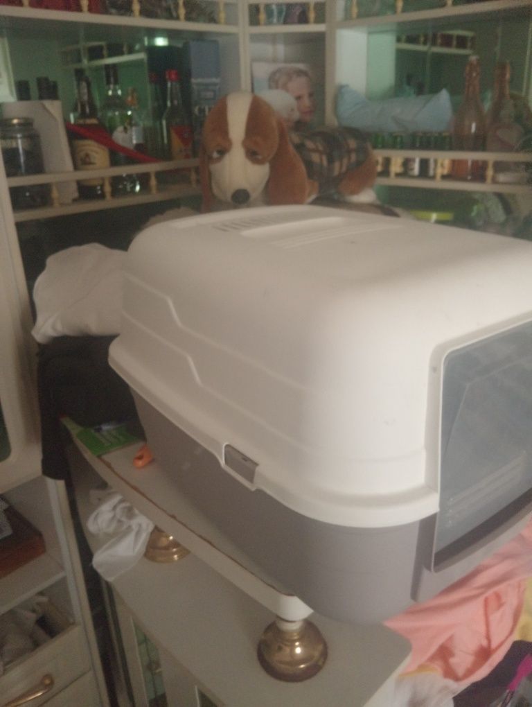 Caixa para por terra para gatos