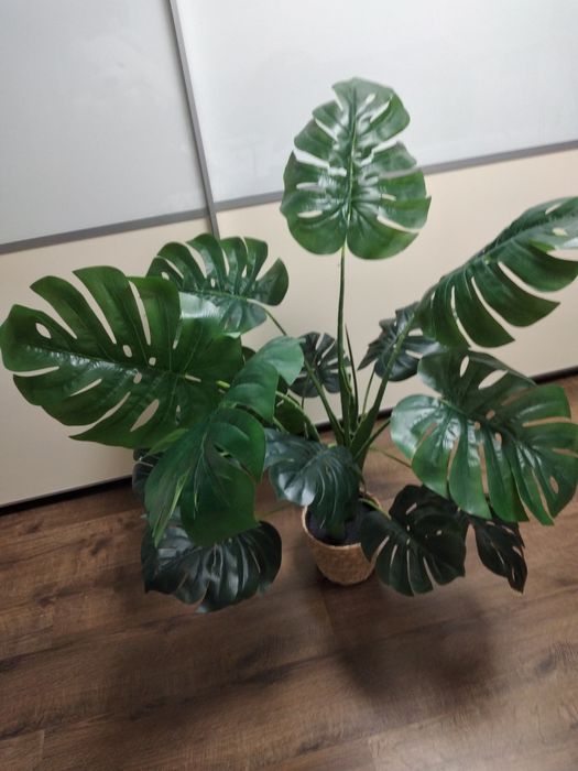 Monstera sztuczna