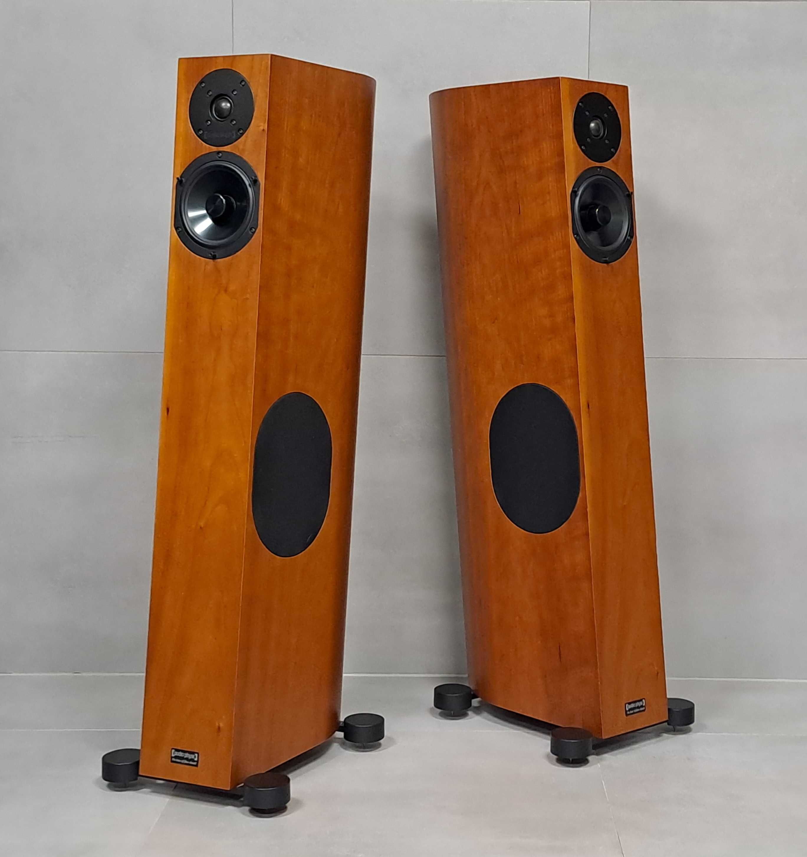 Audio Physic Tempo VI odsłuch zamiana WROCŁAW