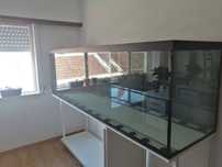 Aquario 220x60x70 + sump + cubo