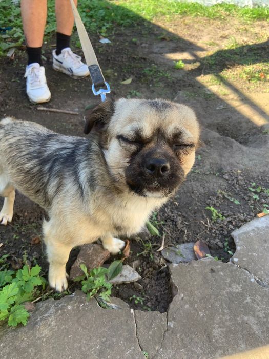 Відаємо у добрі руки