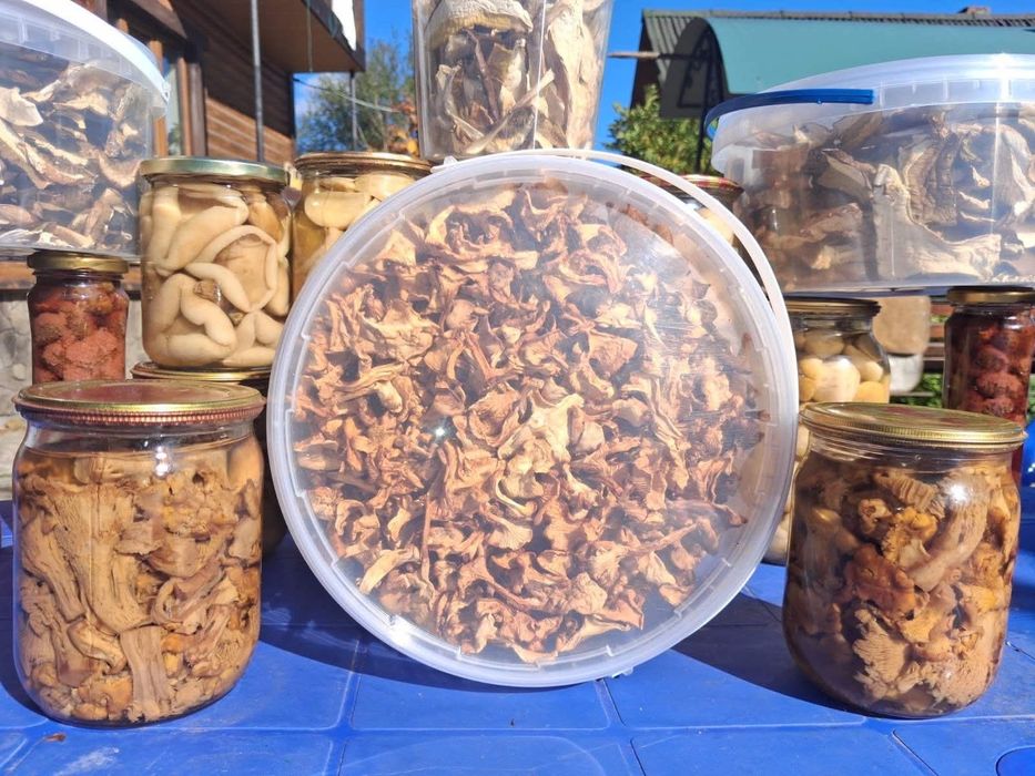 Лисичка сушена Карпатська