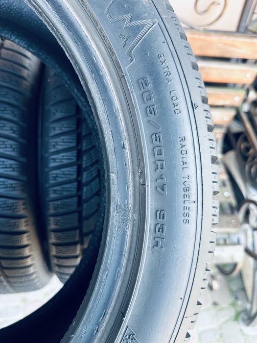 Шини зимові 205/50 R17 (93H) Dunlop Winter Sport 5