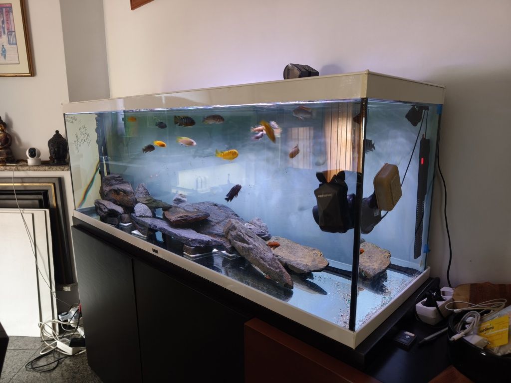 Aquário Aquatlantis 150cm completo com o equipamento