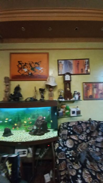 Продажа діючого комерційного приміщення, Центр, вул.Бердичівська.