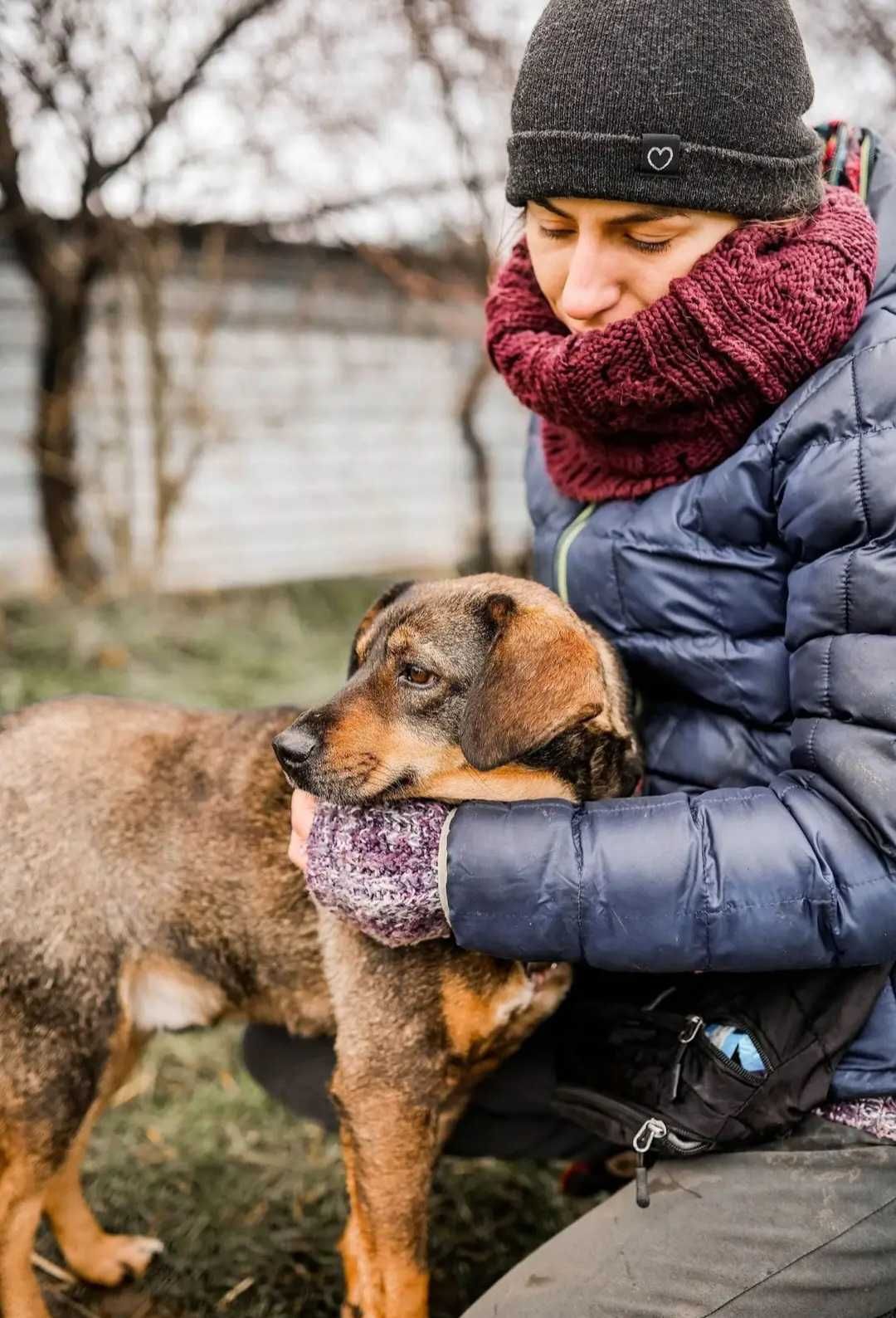 Szaruś - młodziutki psiak marzy o bezwarunkowej miłości!