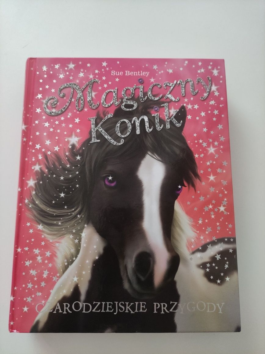 Magiczny konik - czarodziejskie przygody