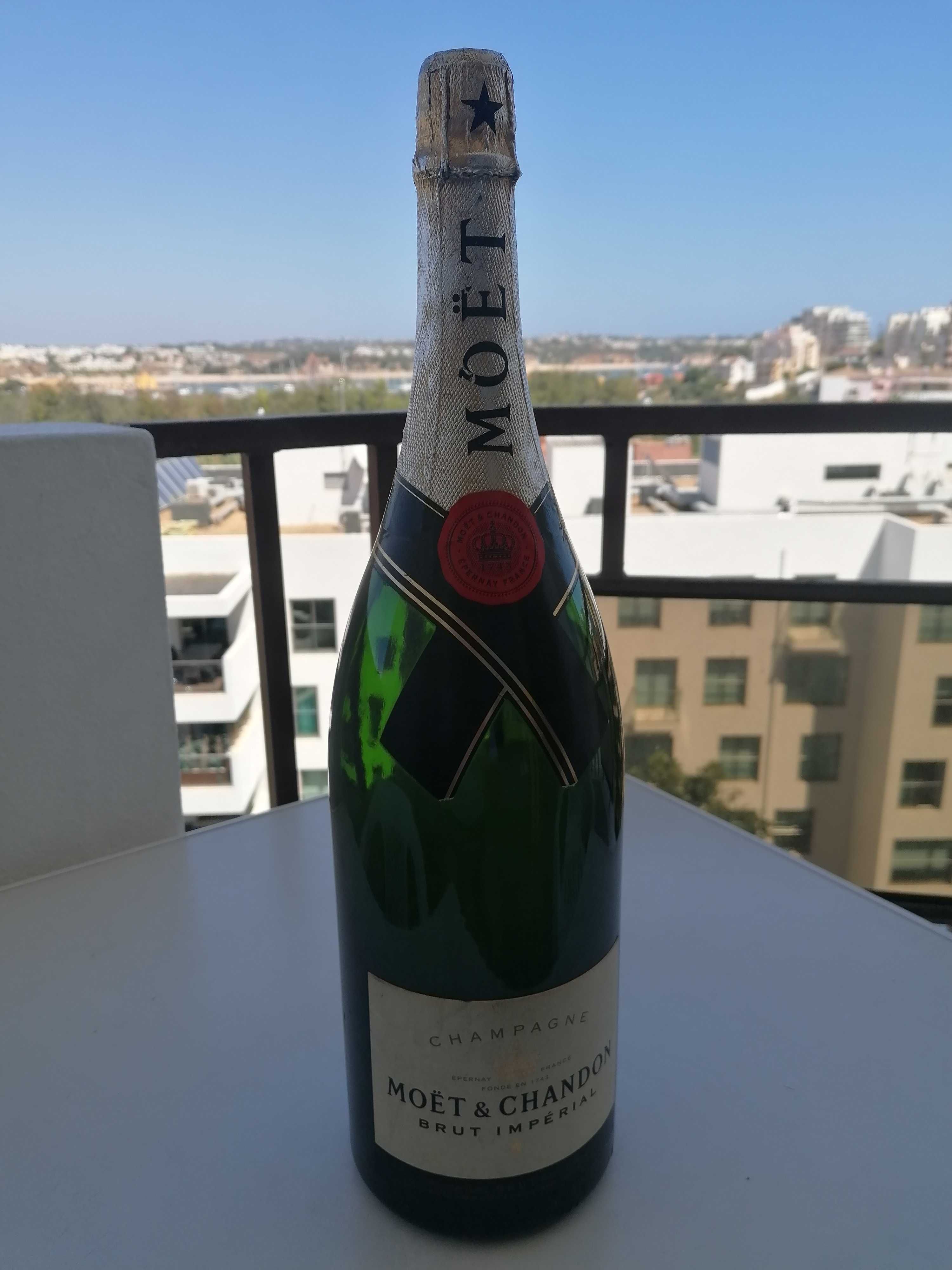 Garrafa Champanhe Moet Chandon decoraçao