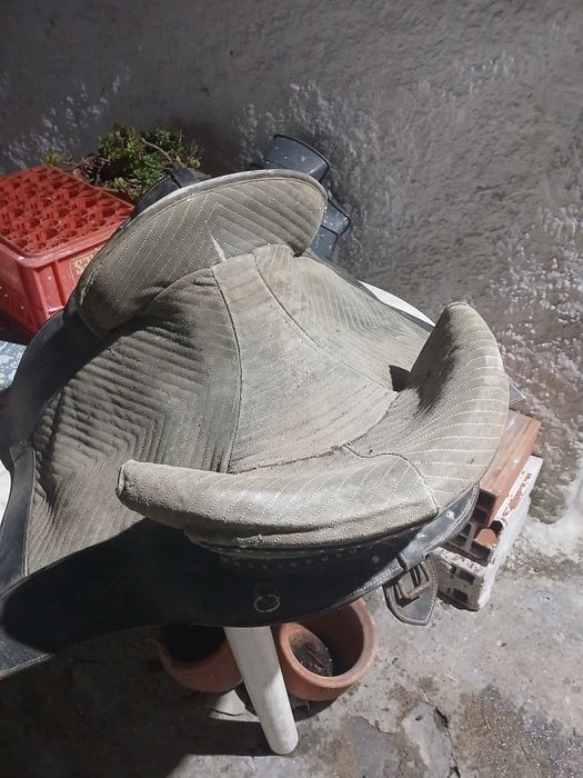 Sela  portuguesa  razoavel