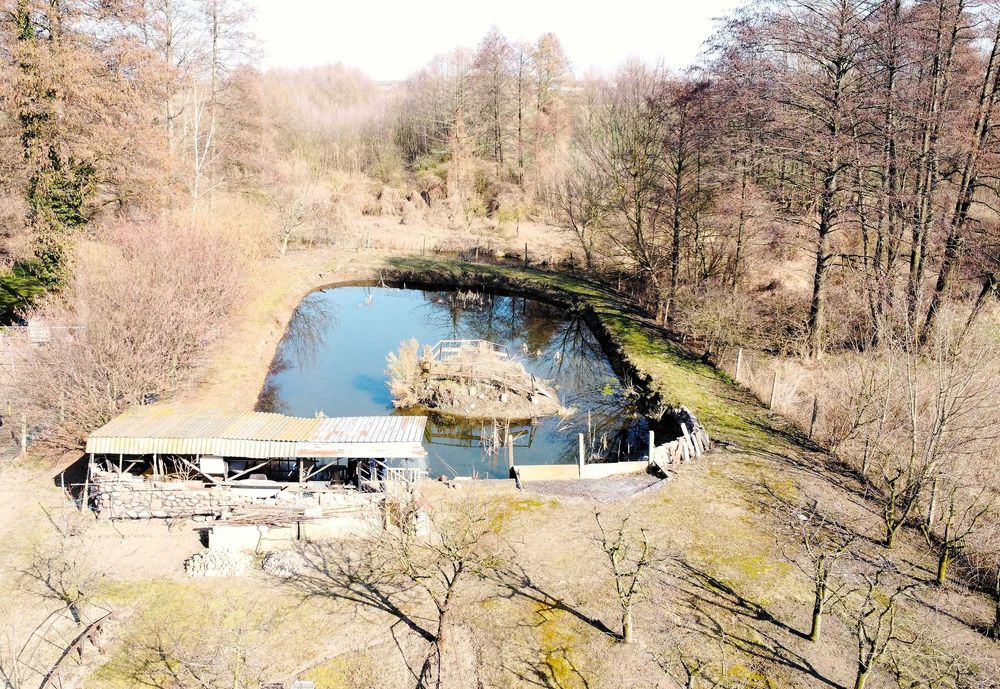 Działka rolno-budowlana 6600m2, gmina Skierniewice, Mokra