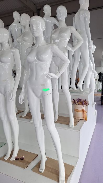 Manequins de Adulto, criança e expositores
