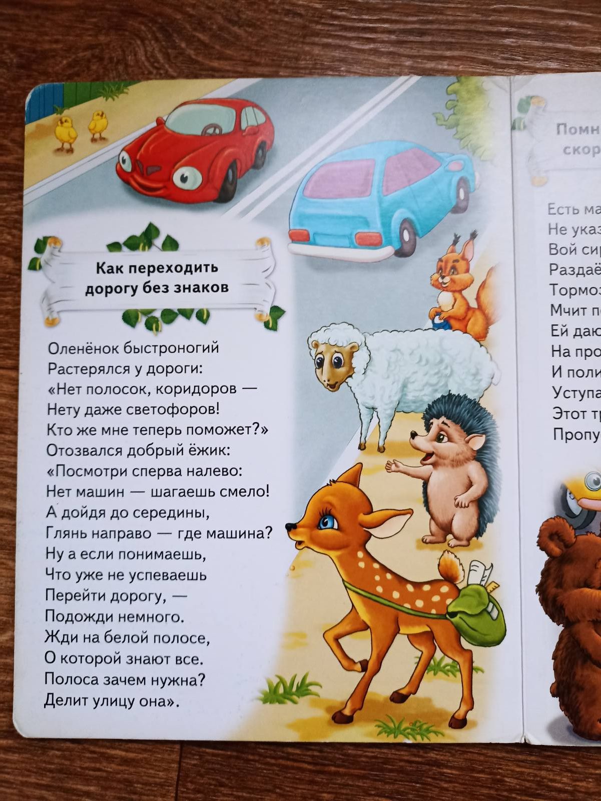 Моя первая книга правил