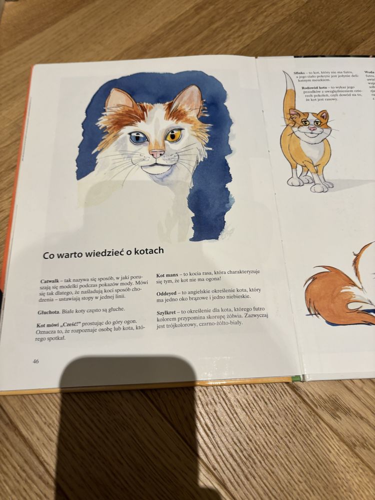 Moja pierwsza książka o kotach